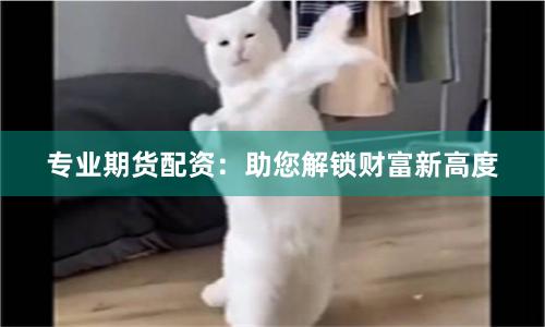 专业期货配资：助您解锁财富新高度