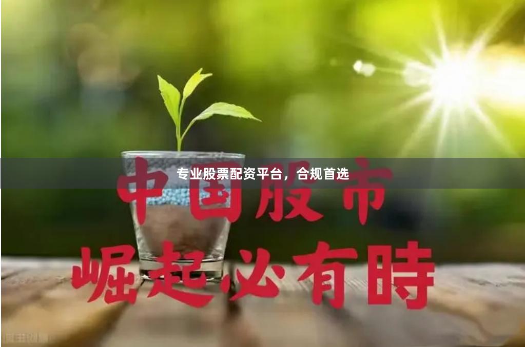专业股票配资平台，合规首选